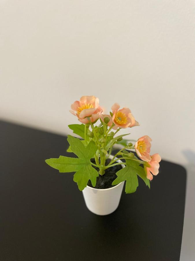 Mr Ferienwohnung - Wohnung Emma Schellerten Esterno foto
